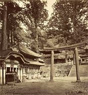 Torii du sanctuaire shintō Tōshō-gū 